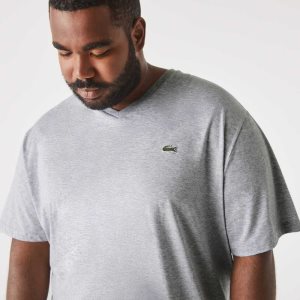 Lacoste Big Fit V-Neck Jersey Harmaat | SHV-293167