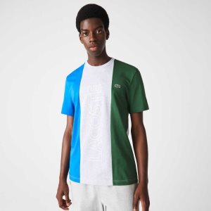 Lacoste Branded Crew Neck Puuvilla Harmaat Sininen Vihreä | VAL-683501