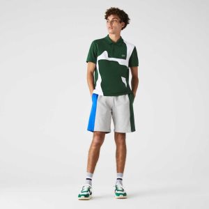 Lacoste Branded Puuvilla Fleece Blend Harmaat Sininen Vihreä | WPI-743286