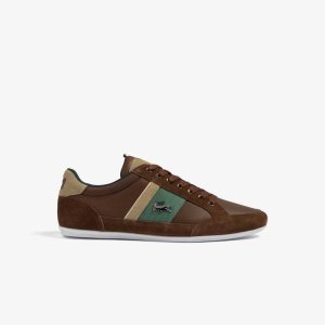 Lacoste Chaymon Nahkaiset Ruskea Vihreä | ACQ-356817