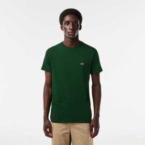 Lacoste Crew Neck Pima Puuvilla Jersey Vihreä | AWD-327491