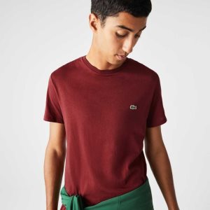 Lacoste Crew Neck Pima Puuvilla Jersey Viininpunainen | DBN-693542