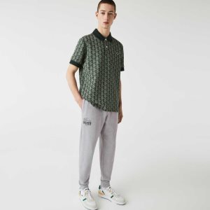Lacoste Crocodile Branding Puuvilla Fleece Jogging Harmaat | EQM-064932
