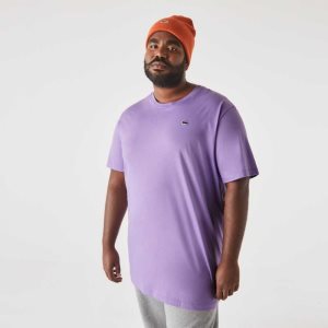 Lacoste Korkeat Fit Pima Puuvilla Jersey Violetit | EOB-912638