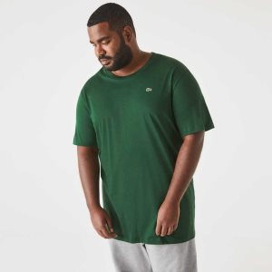 Lacoste Korkeat Fit Pima Puuvilla Jersey Vihreä | OHX-201785