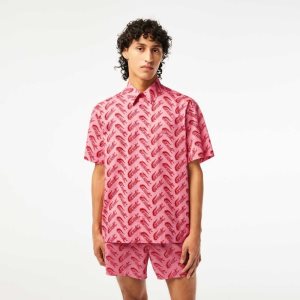 Lacoste Lyhyt Sleeve Vintage Print Punainen Valkoinen | XNH-485627
