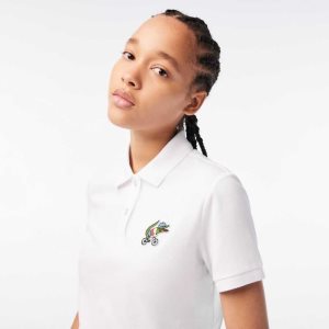 Lacoste Netflix Crocodile Monivärinen | KOC-349265