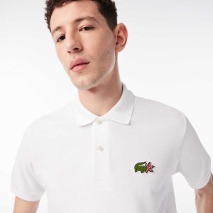Lacoste Netflix Organic Puuvilla Monivärinen | CGN-670349