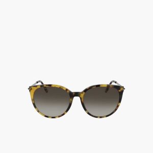 Lacoste Oval Acetate La Piquee Monivärinen | CZL-467850