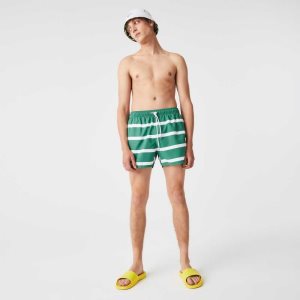 Lacoste Raidallinen And Embroidered Light Vihreä Valkoinen | RNU-896013