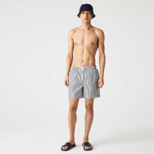 Lacoste Raidallinen Laivastonsininen Sininen Valkoinen | LOV-786340