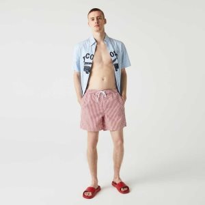 Lacoste Raidallinen Monivärinen | KXA-287951