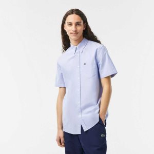 Lacoste Regular Fit Oxford Puuvilla Sininen | HPA-876154