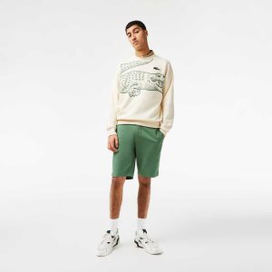 Lacoste Slim Fit Stretch Puuvilla Bermuda Khaki Vihreä | JDG-810765