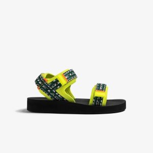 Lacoste Suruga Keltainen Mustat | KLU-829174