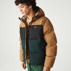 Lacoste Tikattu Colorblock Vesi-Repellent Ruskea Mustat Vihreä | UMF-598714