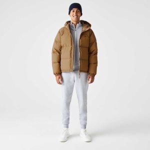 Lacoste Tikattu Vesi-Repellent Ruskea | PGF-235176